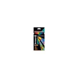 BIC INTENSITY KURU BOYA KALEMİ 12 RENK